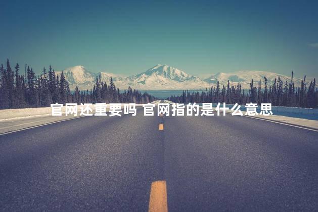 官网还重要吗 官网指的是什么意思